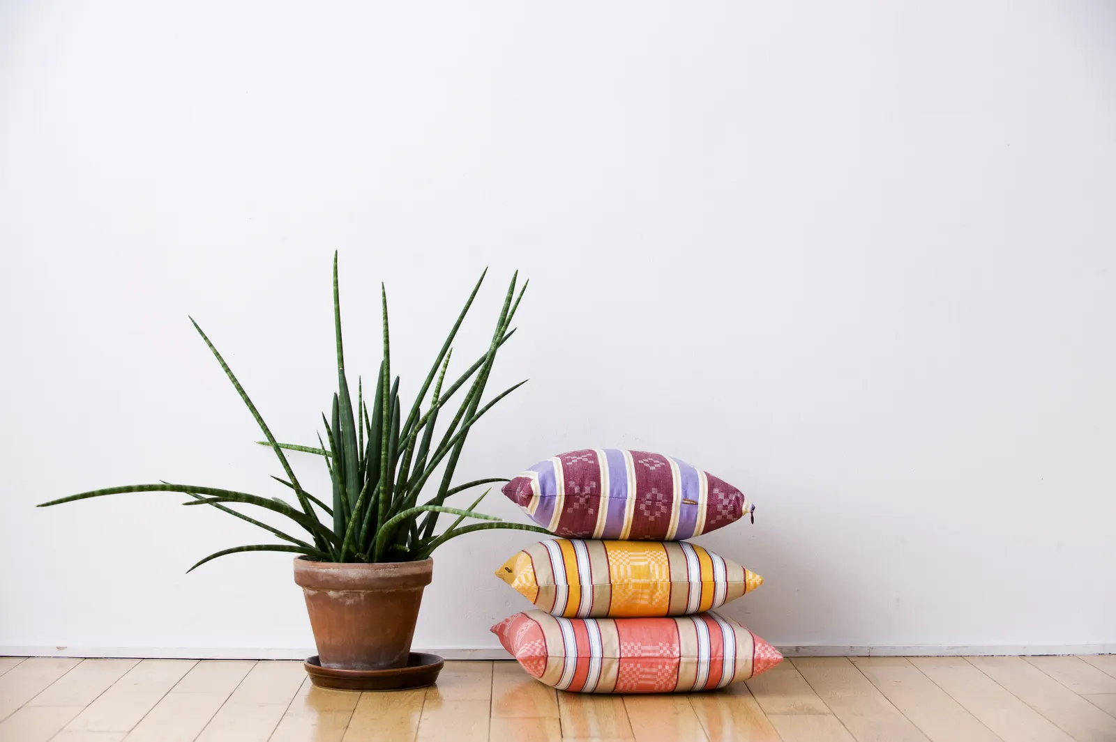 A stack of striped ticking cushions next to a potted aloe